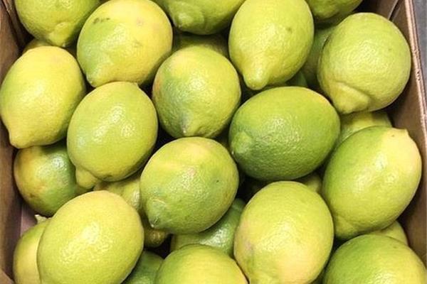 Citroenen (Fino Geel) Vers aanbod in de winkel op 20 maart en 21 maart Webshop